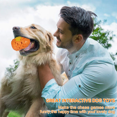 Pet Toys