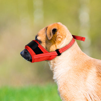 Bozal para mascotas Royal Pets