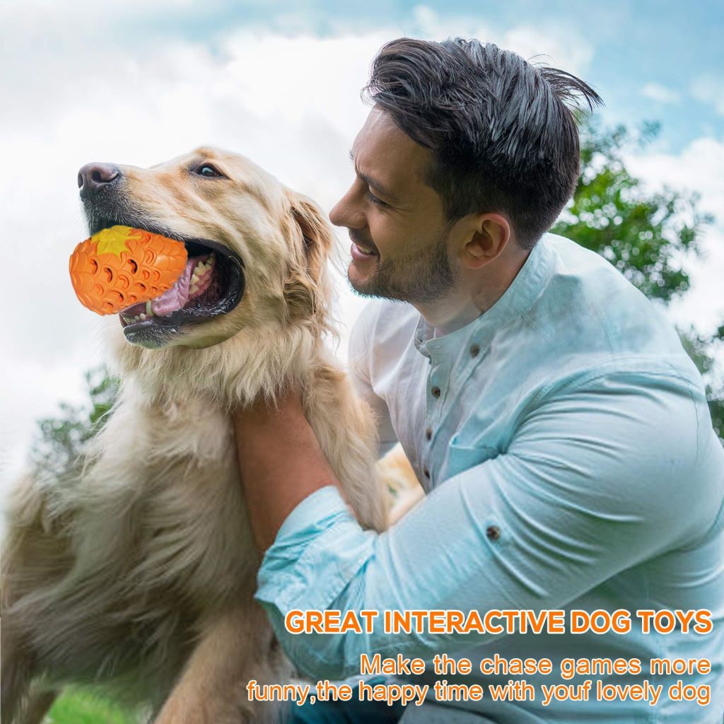 Pet Toys