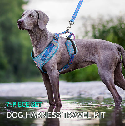 Royal Pets 7 Pcs Set Pet Accessories Pet Harness, Leashes, Collars, Seat Belt, Bow Tie, Bandana & Poop Bag Holder