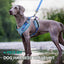 Royal Pets Pet Harness 4 Pcs Set with Leashes, Collars & Poop Bag Holder