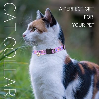 Royal Pets 6 Pcs Cat Collars Set MT 006 with Bell