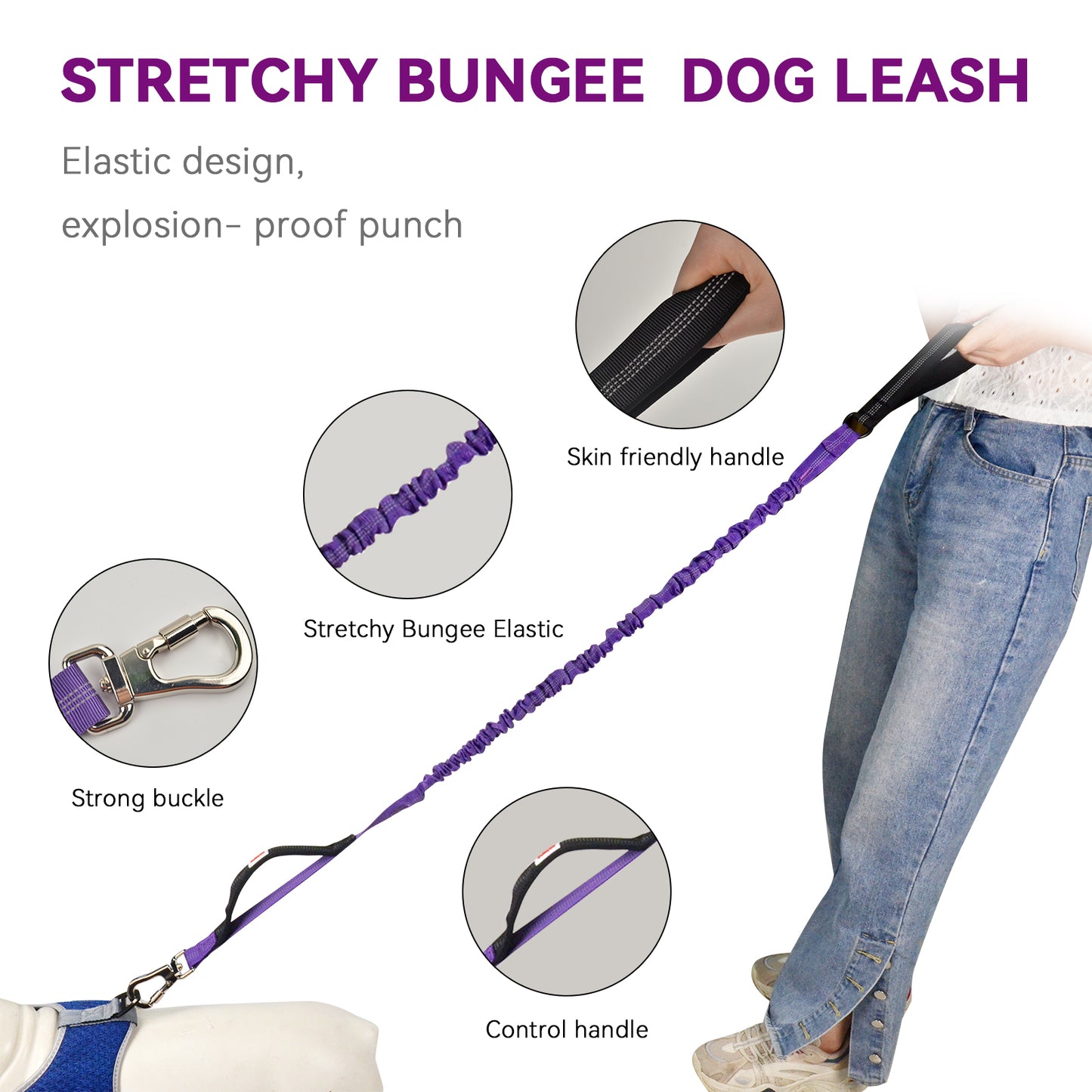 Royal Pets Stretchy Nylon Bungee Reflective Rope Leashes - Extra Strength