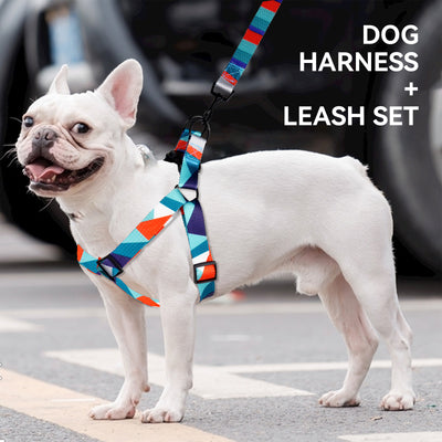 Arnés y correas para mascotas con estampado geométrico de Royal Pets