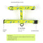 Royal Pets Cat Harness Leashes MT3
