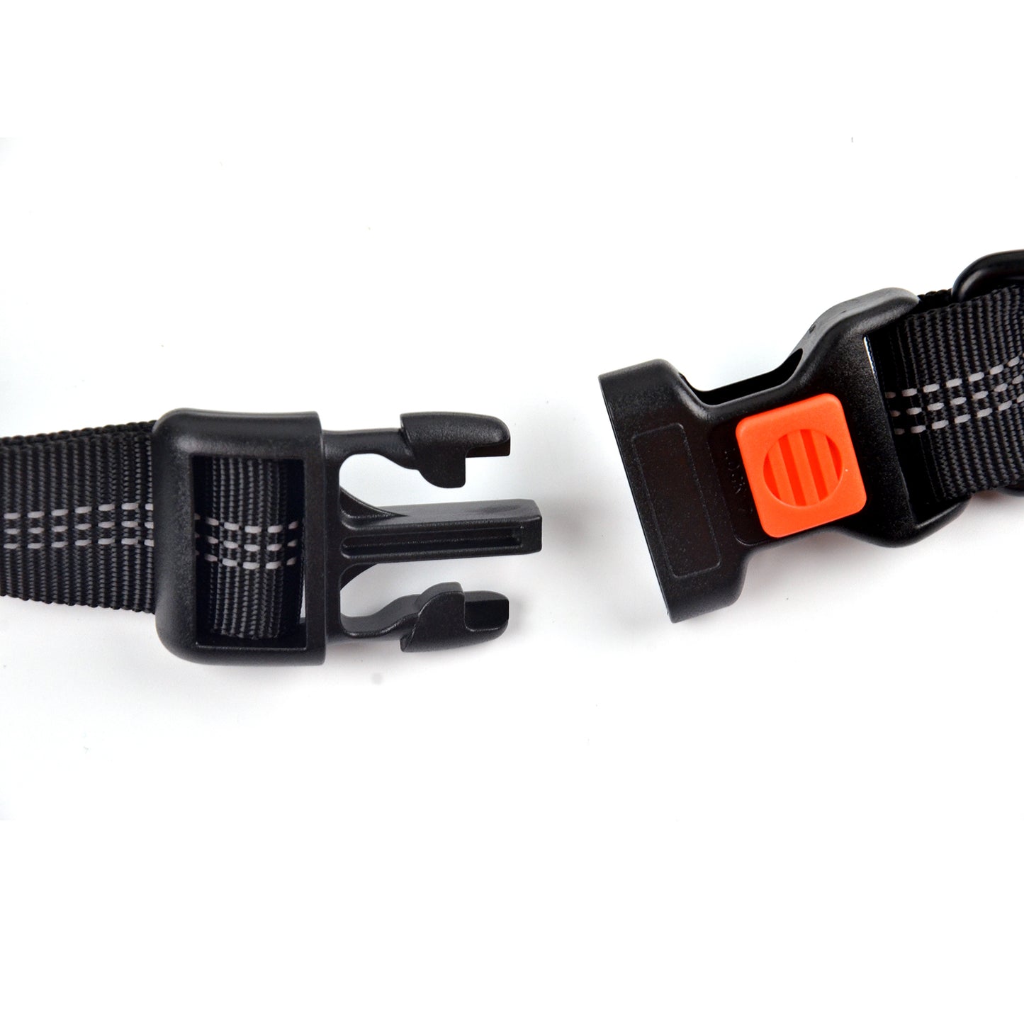 Royal Pets Running Cuerda Bungee Correas