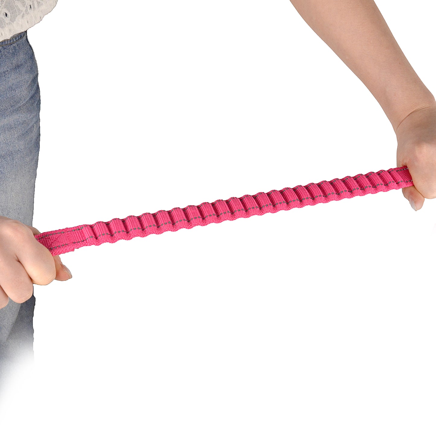 Royal Pets Printed Bungee Rope Leashes