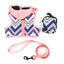 Royal Pets Harness with Hood, Bag & Leash
