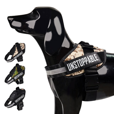 Royal Pets K11 Arnés para mascotas