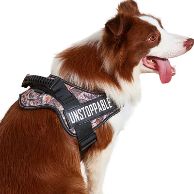 Arnés para mascotas con parche para perros de servicio (L8)