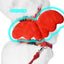 Royal Pets Pet Harness with Angel Wings