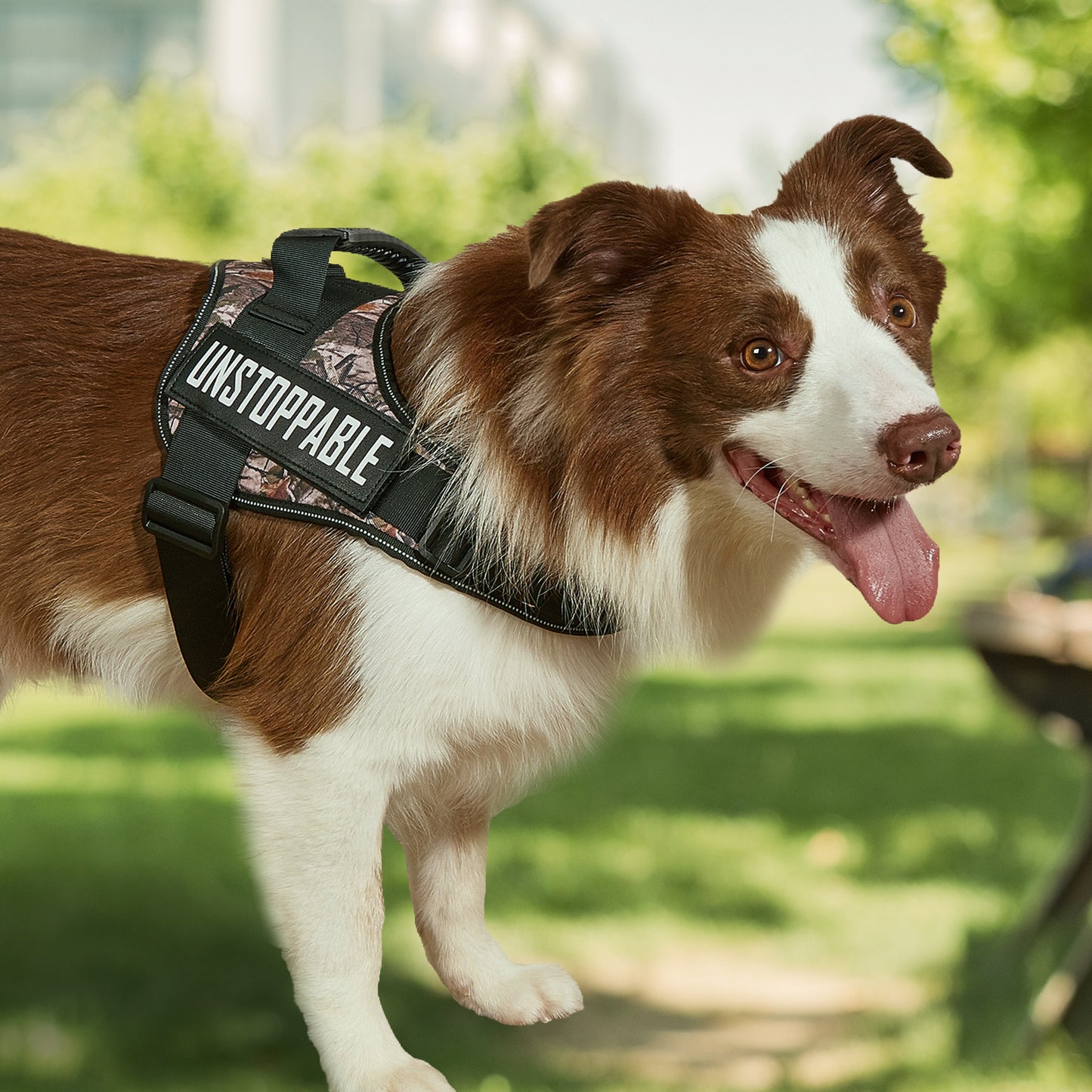 Arnés para mascotas con parche para perros de servicio (L8)