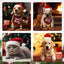 Royal Pets USA Perfect Christmas Costume, Matching Outfit for Dogs and Cats, Including Hats, Bandana, and Sets of Anti-Slip Socks