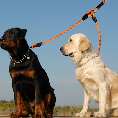 Royal Pets Double Head Pet Leashes