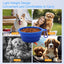 Royal Pets USA Collapsible Dog Travel Bowls, Portable Water Bowl for Dogs or Cats Pet Foldable Feeding Water or Treat for Traveling, Walking & Camping with Carabiner, BPA Free 1000ml