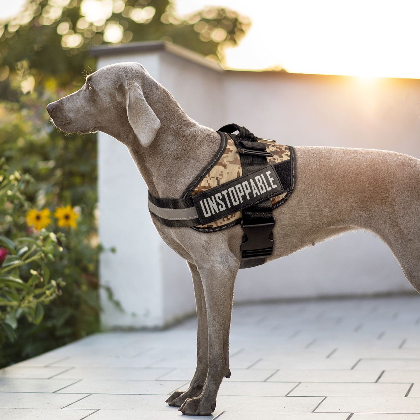 Royal Pets K11 Arnés para mascotas