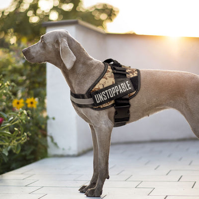 Royal Pets K11 Arnés para mascotas