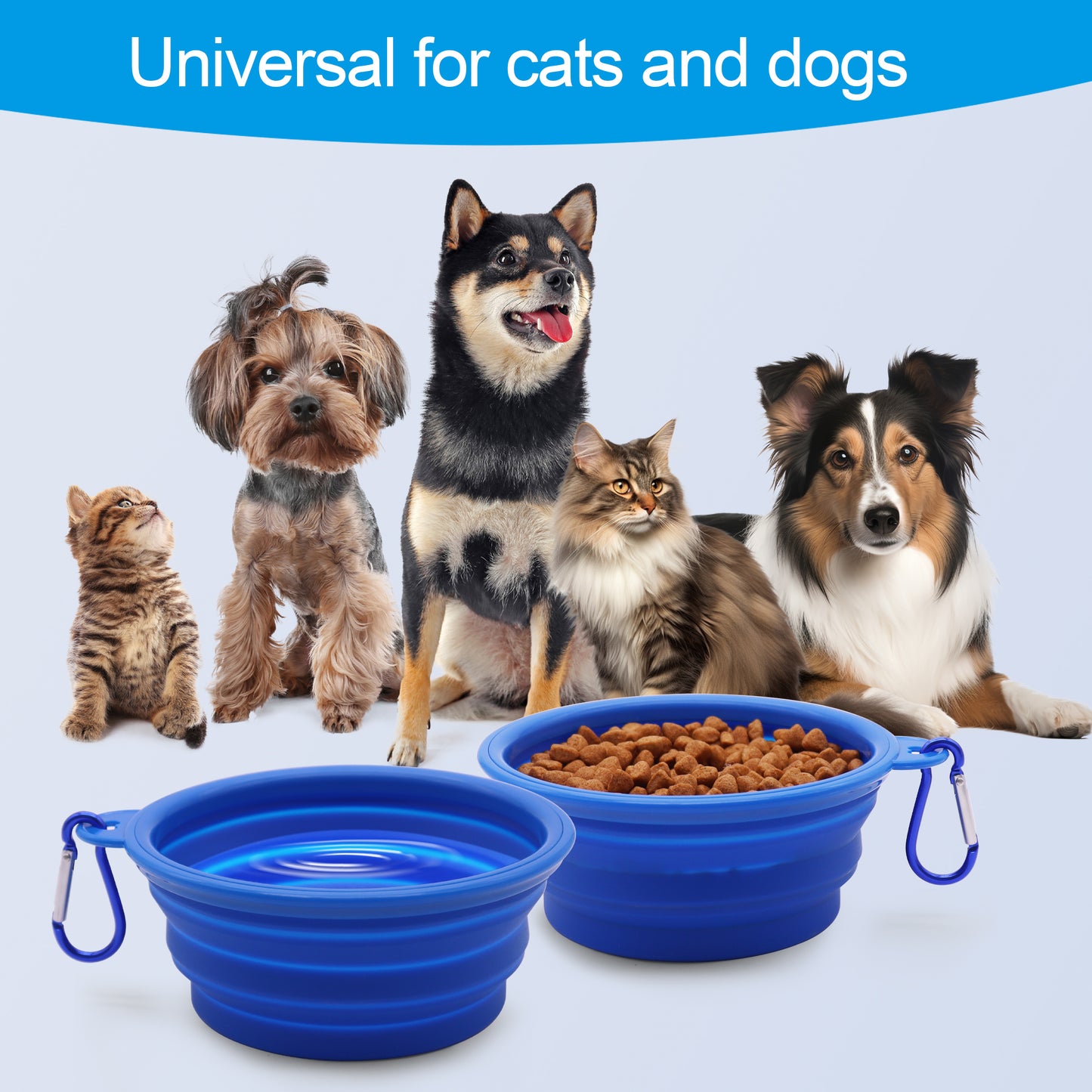 Royal Pets USA Collapsible Dog Travel Bowls, Portable Water Bowl for Dogs or Cats Pet Foldable Feeding Water or Treat for Traveling, Walking & Camping with Carabiner, BPA Free  650ml