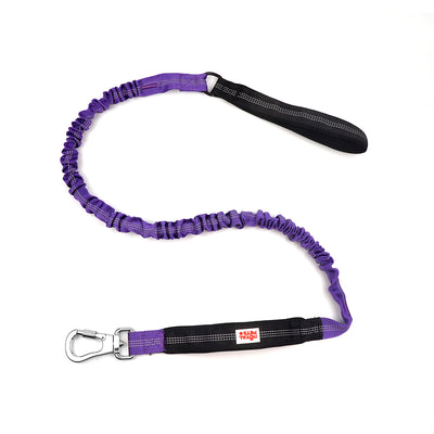 Royal Pets Nylon Cuerda Bungee Correas
