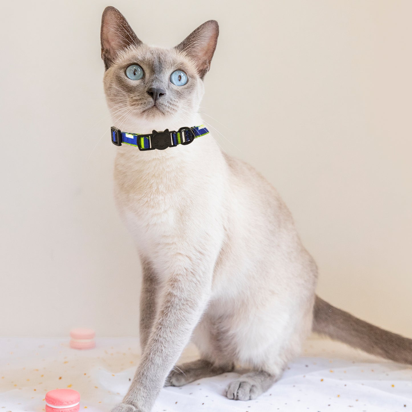 Royal Pets 4 pcs Cat Collars Set