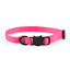 Royal Pets 4 Pcs Cat Collars Set