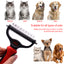 Royal Pets Stainless Double Sided Pet Dematting Comb 1