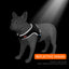 Royal Pets U-shaped Tiger Series Pet Harness with No Pull Tactical Reflective Dog Vest