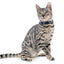 Royal Pets 4 pcs Cat Collars Set