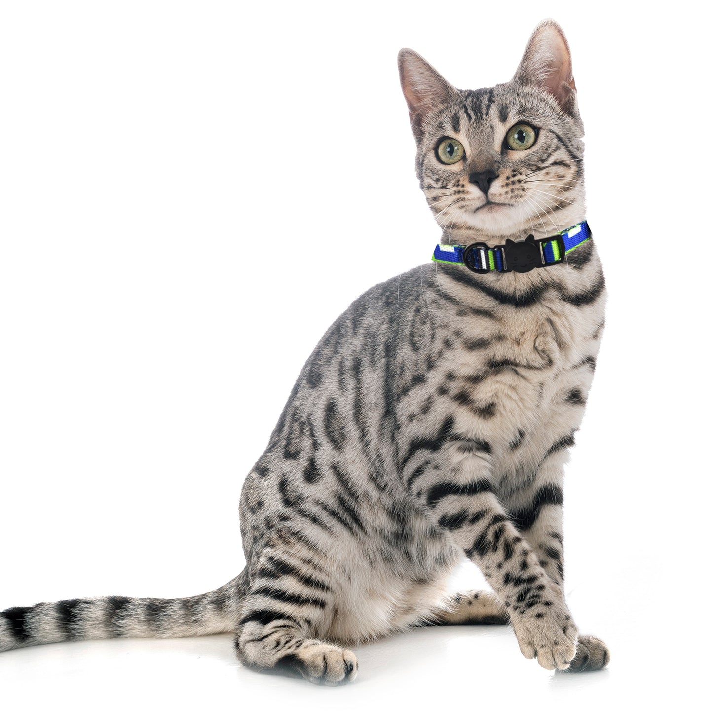 Royal Pets 4 pcs Cat Collars Set