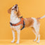 Royal Pets U-shaped Tiger Series Pet Harness with No Pull Tactical Reflective Dog Vest