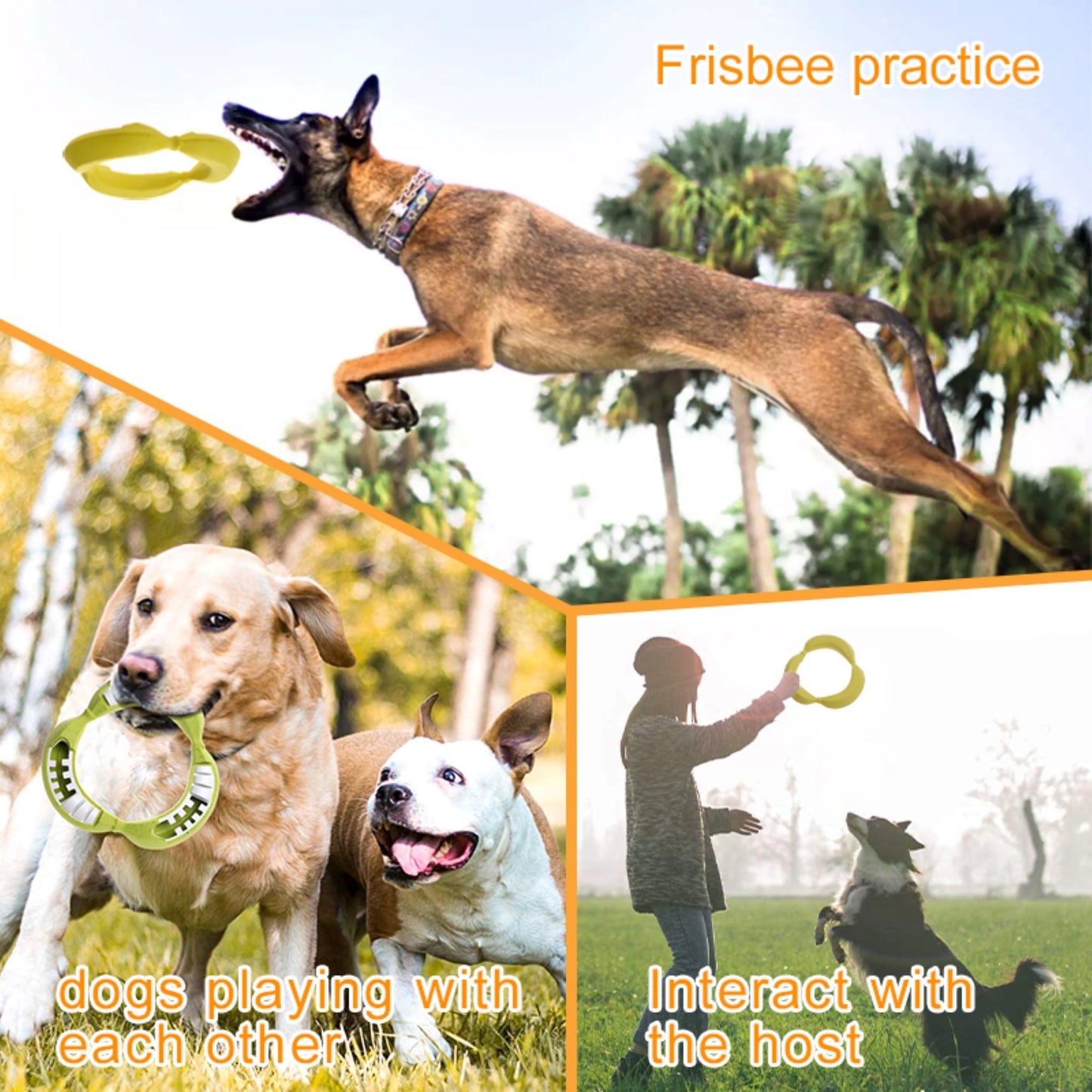 Royal Pets USA Indestructible, Durable & Tough Banana Dog Chew Toy for Aggressive Chewers. Slow Treat Dispensing & Oral Care Interactive Toys for S, M & L Breed - 100% Natural Rubber- 10000 bites tested