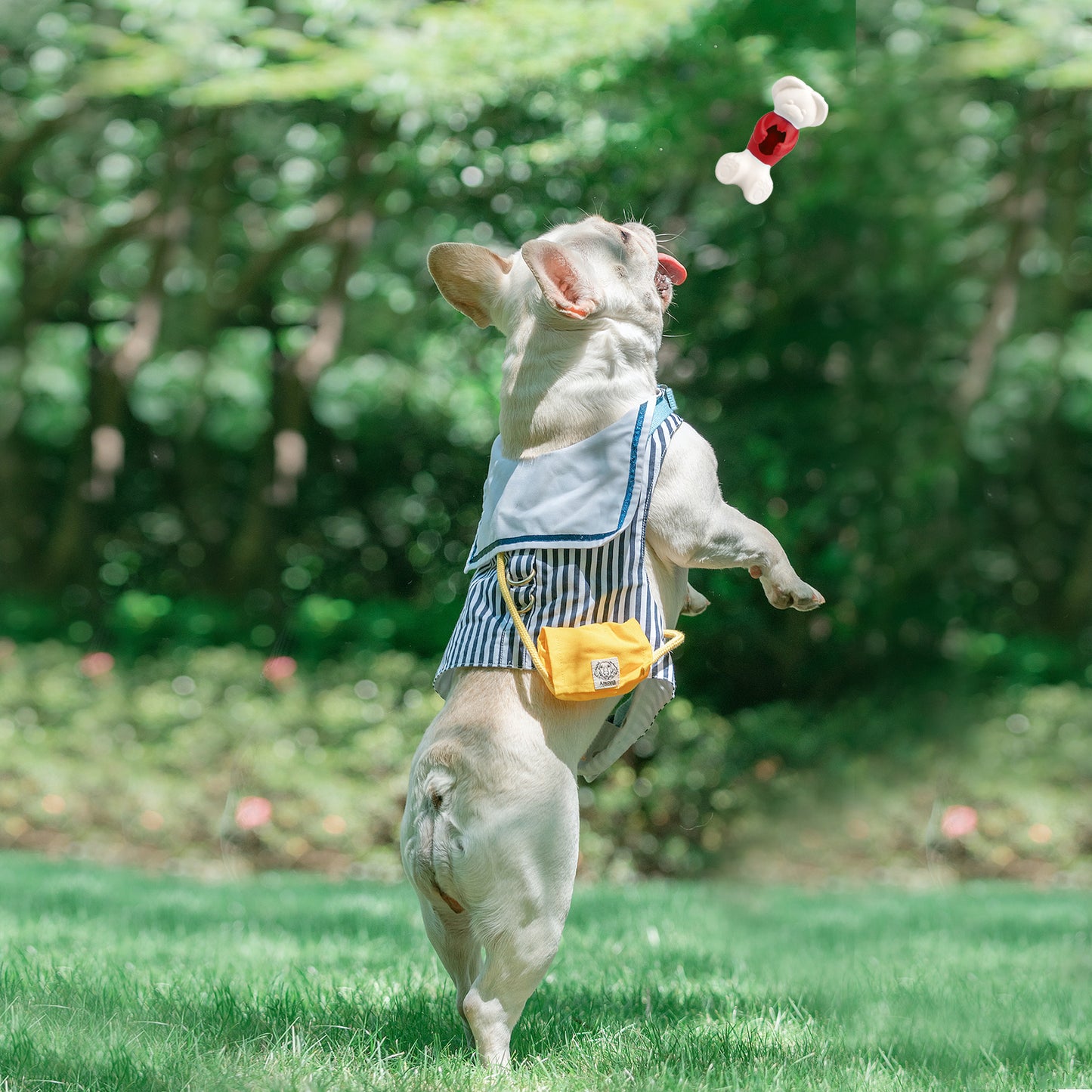 Royal Pets USA Indestructible, Durable & Tough Bear Dog Chew Toy for Aggressive Chewers. Slow Treat Dispensing Interactive Toys for Puppies to Medium, Breed- 100% NATURAL RUBBER -10000 BITES TESTED - UNIQUE DESIGN FOR ORAL CARE