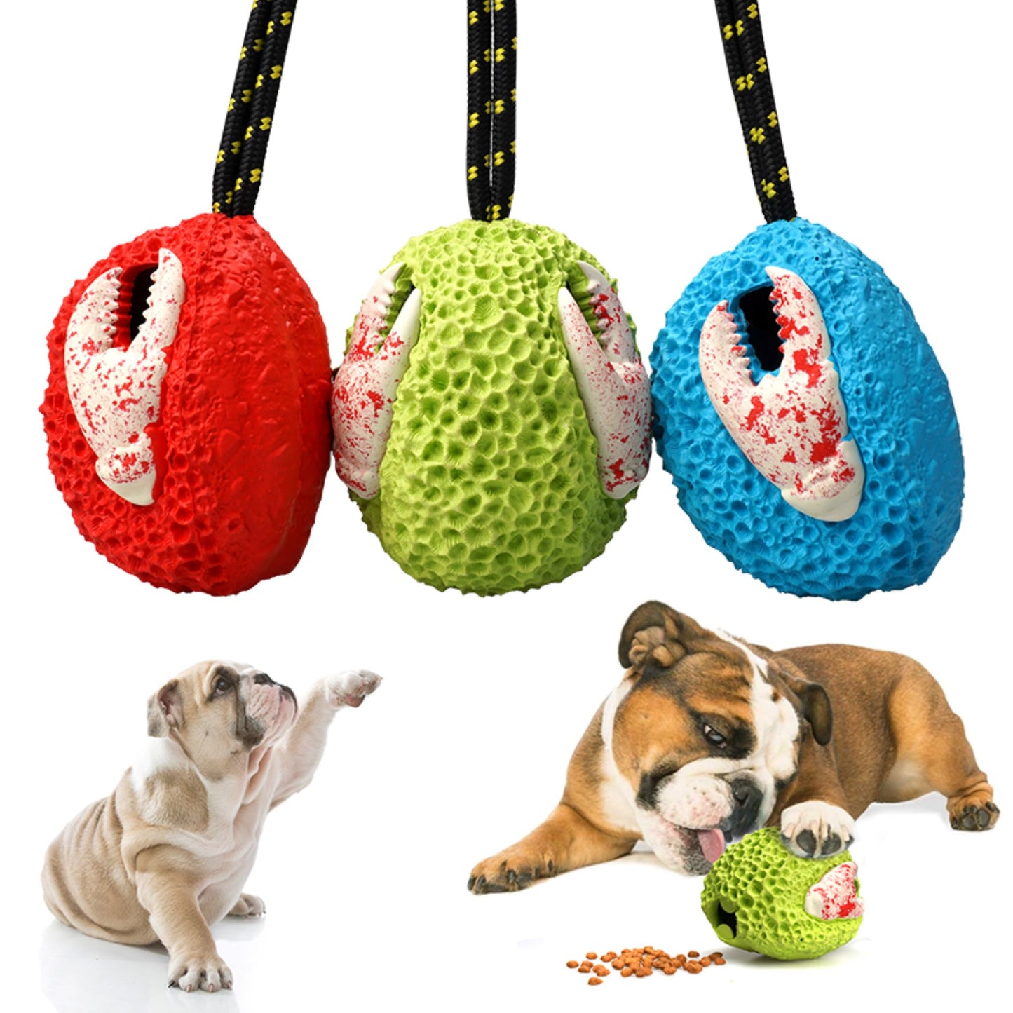 Royal Pets USA Indestructible, Durable & Tough Coral Dog Chew Toy for Aggressive Chewers. Slow Treat Dispensing Interactive Toys for S, M & L Breed -100% NATURAL RUBBER -10000 BITES TESTED - UNIQUE DESIGN FOR ORAL CARE