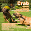 Royal Pets USA Indestructible, Durable & Tough Coral Dog Chew Toy for Aggressive Chewers. Slow Treat Dispensing Interactive Toys for S, M & L Breed -100% NATURAL RUBBER -10000 BITES TESTED - UNIQUE DESIGN FOR ORAL CARE