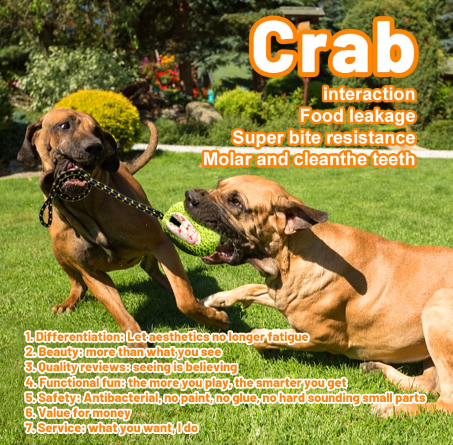 Royal Pets USA Indestructible, Durable & Tough Coral Dog Chew Toy for Aggressive Chewers. Slow Treat Dispensing Interactive Toys for S, M & L Breed -100% NATURAL RUBBER -10000 BITES TESTED - UNIQUE DESIGN FOR ORAL CARE
