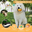 ROYAL PETS USA Indestructible, Durable & Tough Durian Dog Chew Toy for Aggressive Chewers. Slow Treat Dispensing Interactive Toys for S, M & L Breed - 100% NATURAL RUBBER -10000 BITES TESTED - UNIQUE DESIGN FOR ORAL CARE