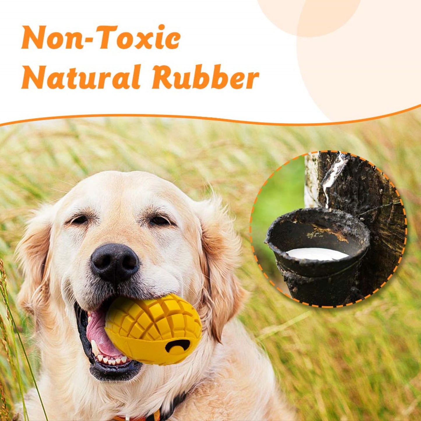 ROYAL PETS USA Indestructible, Durable & Tough Mango Dog Chew Toy for Extreme Aggressive Chewers. Slow Treat Dispensing Interactive Toys for S ,M,L Breed - 100% NATURAL RUBBER -10000 BITES TESTED - UNIQUE DESIGN FOR ORAL CARE