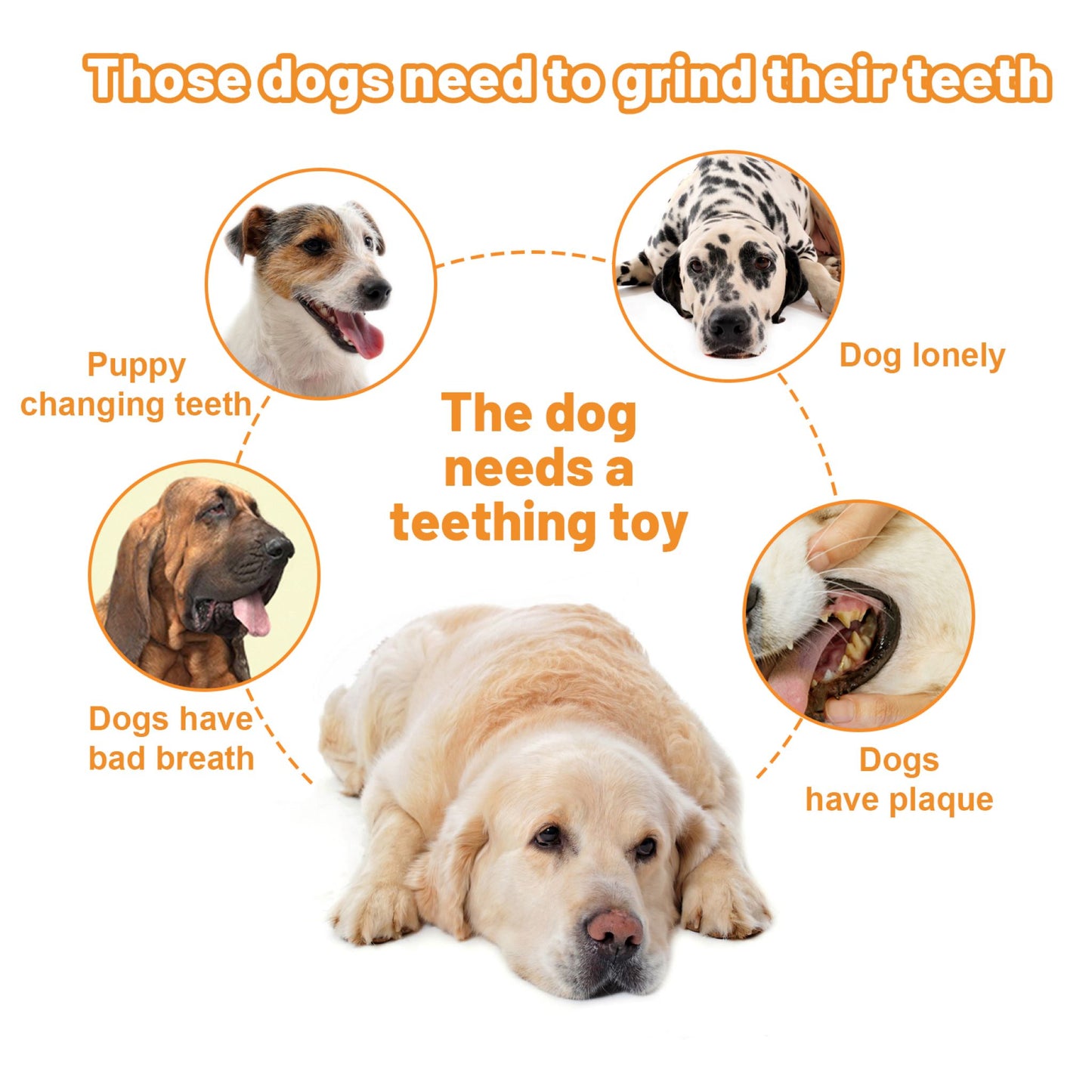 ROYAL PETS USA Indestructible, Durable & Tough Octopus Dog Chew Toy for Aggressive Chewers. Slow Treat Dispensing Interactive Toys for S, M & L Breed -100% NATURAL RUBBER -10000 BITES TESTED - UNIQUE DESIGN FOR ORAL CARE