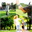 Royal Pets USA Indestructible, Durable & Tough Pineapple Dog Chew Toy for Aggressive Chewers, Slow Treat Dispensing Interactive Toys for S,M & L Breed - 100% NATURAL RUBBER -10000 BITES TESTED - UNIQUE DESIGN FOR ORAL CARE