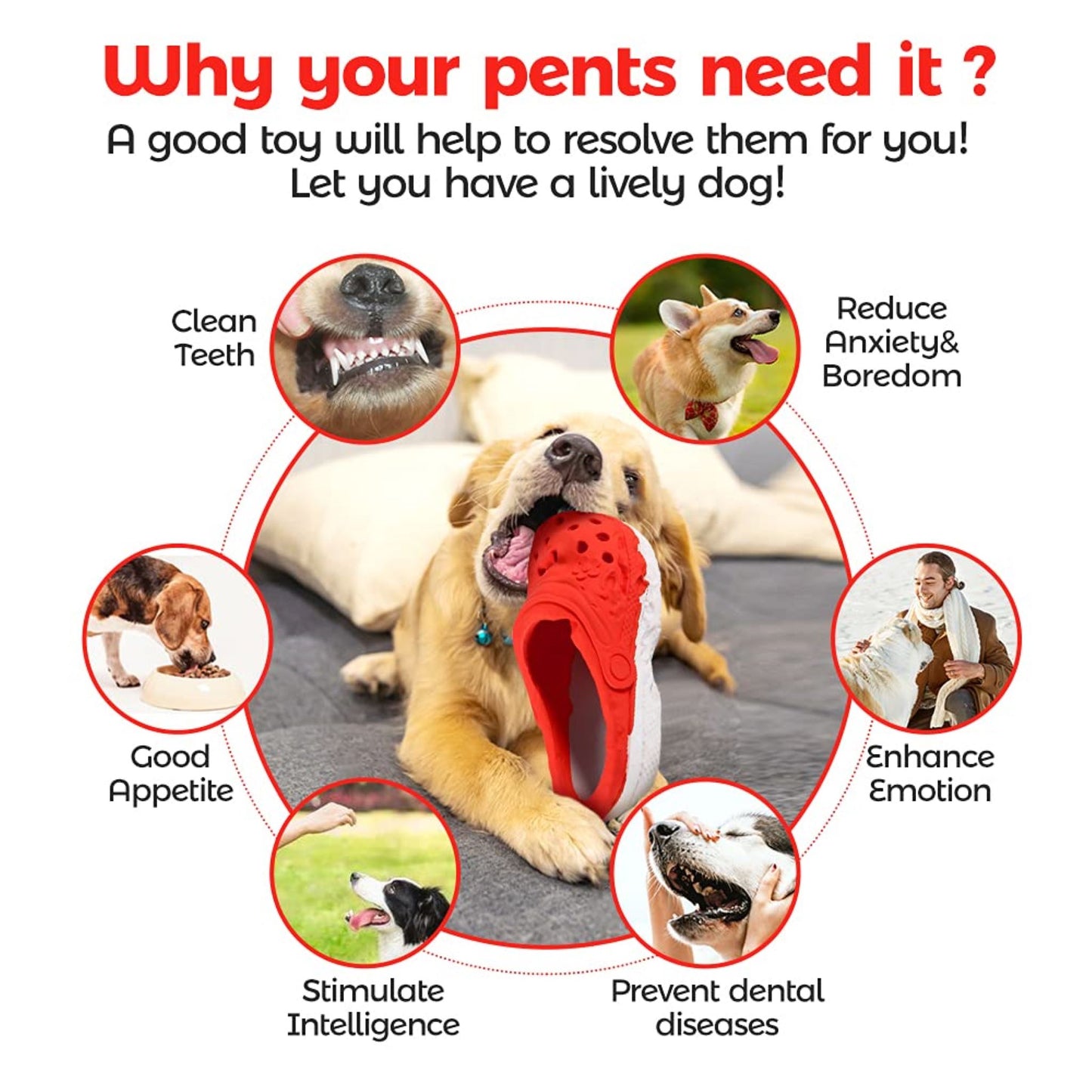 ROYAL PETS USA Indestructible, Durable & Tough Slipper Dog Chew Toy for Aggressive Chewers. Slow Treat Dispensing Interactive Toys for S, M & L Breed -*100% NATURAL RUBBER -10000 BITES TESTED - UNIQUE DESIGN FOR ORAL CARE*