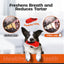 ROYAL PETS USA Indestructible, Durable & Tough Slipper Dog Chew Toy for Aggressive Chewers. Slow Treat Dispensing Interactive Toys for S, M & L Breed -*100% NATURAL RUBBER -10000 BITES TESTED - UNIQUE DESIGN FOR ORAL CARE*