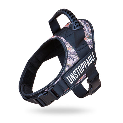 Arnés para mascotas con parche para perros de servicio (L8)